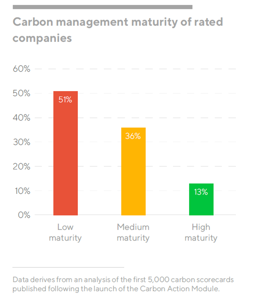图显示关联公司碳管理成熟度低成熟度51%,中成熟度36%,高成熟度13%