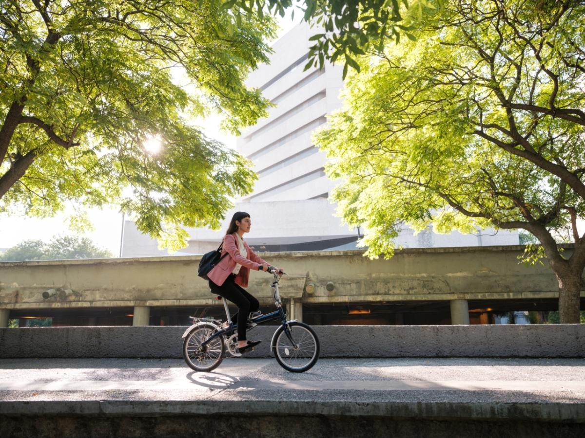 骑自行车的人靠近树木和建筑物