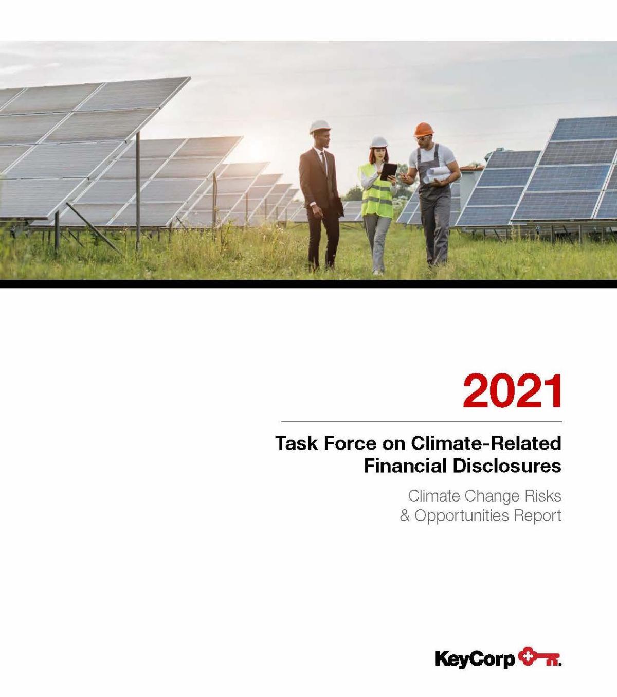 太阳板阵列显示三人2021气候相关金融披露工作队