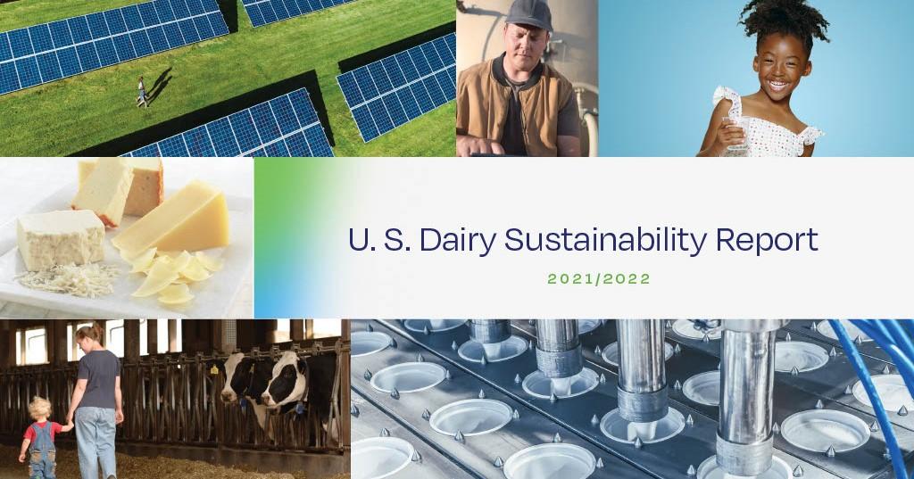 U.S.乳牛可持续性报告覆盖奶牛、人和太阳能板图像